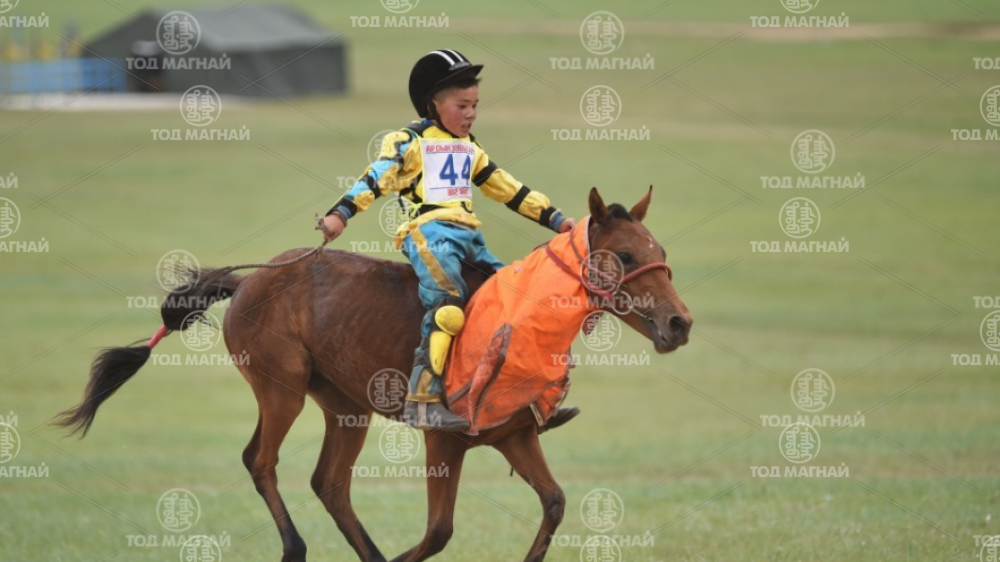  Хээр халзан