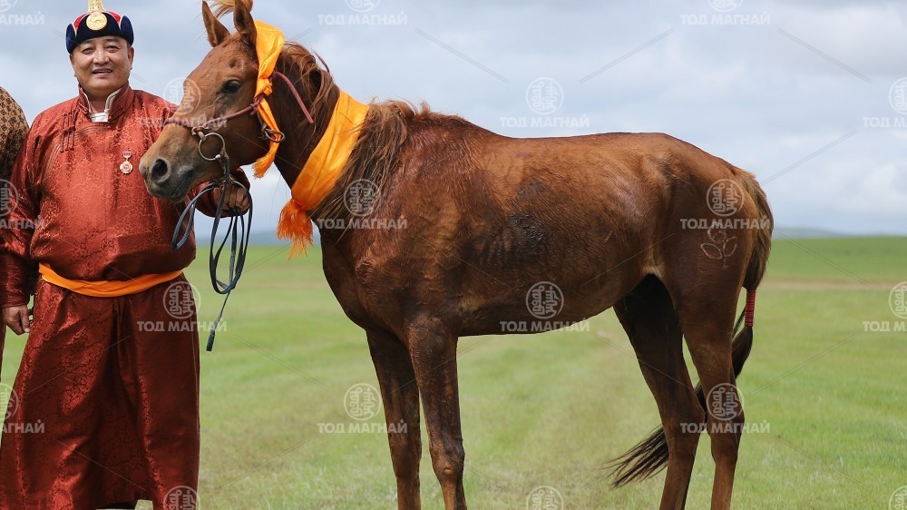  Зээрэн зээрд