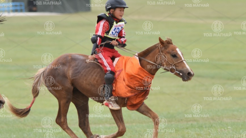  Ухаа халзан