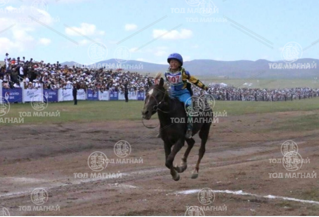  Сартай зээрд