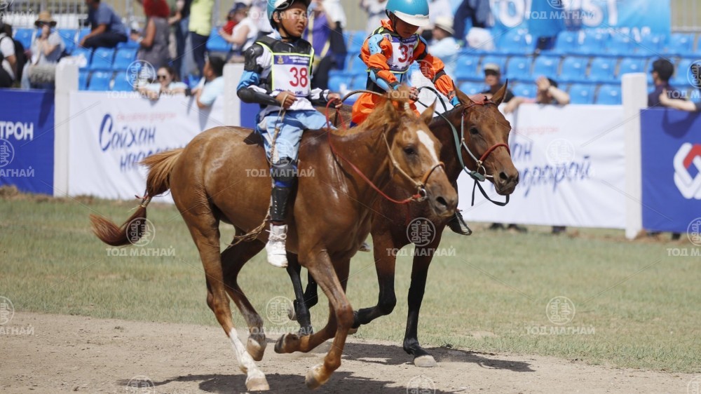  Хонгор халзан