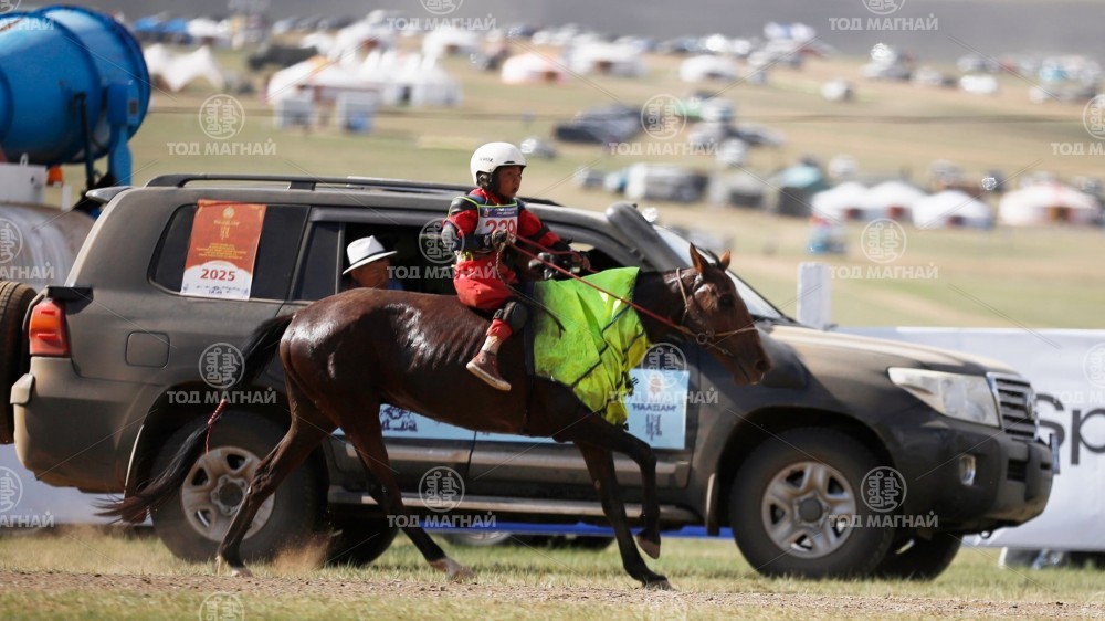  Хээр халзан