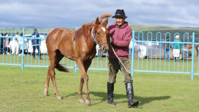 Эрлийз доод