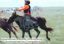 Г.Сүхбаярын хүрэн