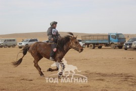  С.Түвшинтөгсийн ухаа
