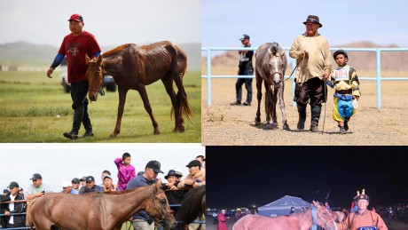 ​ Бар жилийн унаганууд бүгд айрагдав